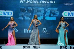 FIT-MODEL OVERALL